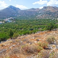 Земельный участок в Греции, Крит, 3000 кв.м.