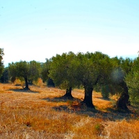 Land plot in Greece, Central Macedonia, Center