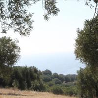 Land plot in Greece, Central Macedonia, Center