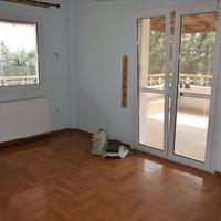 Другое в Греции, Центральная Македония, Центр, 600 кв.м.