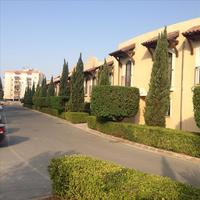Townhouse in Republic of Cyprus, Lima, 110 sq.m.