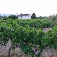 Other in Greece, Central Greece, Center, 105 sq.m.