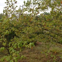 Другое в Греции, Ионические острова, 400 кв.м.