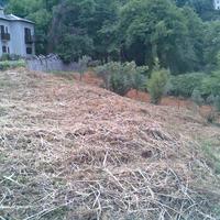 Land plot in Greece, Thessaly