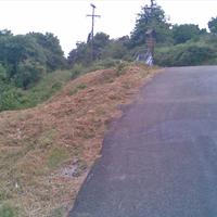 Land plot in Greece, Thessaly