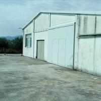 Business center in Greece, 1000 sq.m.