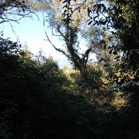 Land plot in Greece, Ionian Islands