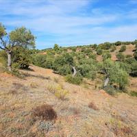 Land plot in Greece, Central Macedonia, Center