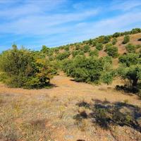 Land plot in Greece, Central Macedonia, Center