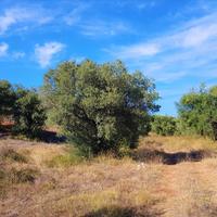 Land plot in Greece, Central Macedonia, Center