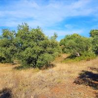 Land plot in Greece, Central Macedonia, Center
