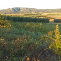Land plot in Greece, Central Macedonia, Khal