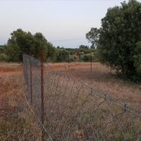 Земельный участок в Греции, Центральная Македония, Центр