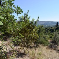 Земельный участок в Греции, Крит, Ханья
