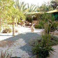 Other in Republic of Cyprus, Lima, 190 sq.m.