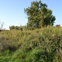 Land plot in Greece, Central Macedonia, Center