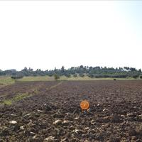 Land plot in Greece, Central Macedonia, Center