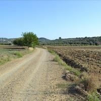 Land plot in Greece, Central Macedonia, Center