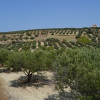 Land plot in Greece, Crete, Irakleion, 1430 sq.m.