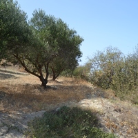 Land plot in Greece, Crete, Irakleion, 1430 sq.m.