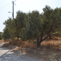 Land plot in Greece, Crete, Irakleion, 535 sq.m.