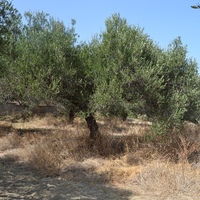 Land plot in Greece, Crete, Irakleion, 535 sq.m.