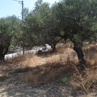 Land plot in Greece, Crete, Irakleion, 535 sq.m.