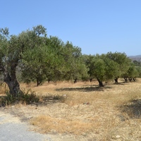 Land plot in Greece, Crete, Irakleion, 600 sq.m.