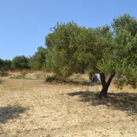 Land plot in Greece, Crete, Irakleion, 600 sq.m.