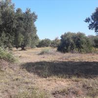 Земельный участок в Греции, Центральная Македония, Центр