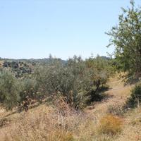 Земельный участок в Греции, Центральная Македония, Центр