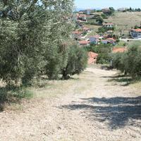 Land plot in Greece, Central Macedonia, Center