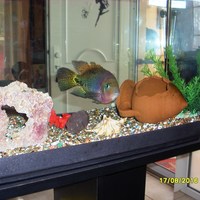 Other in Greece, Crete, 193 sq.m.