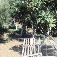 Other in Greece, Crete, 193 sq.m.