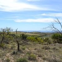 Земельный участок в Греции, Центральная Македония, Хал