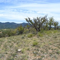 Земельный участок в Греции, Центральная Македония, Хал
