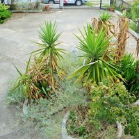 Townhouse in Greece, Central Macedonia, Center, 130 sq.m.