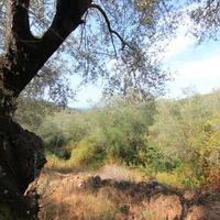 Land plot in Greece, Ionian Islands