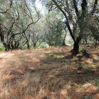 Land plot in Greece, Ionian Islands