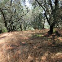 Land plot in Greece, Ionian Islands