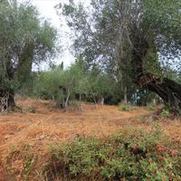 Земельный участок в Греции, Ионические острова