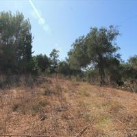 Land plot in Greece, Ionian Islands