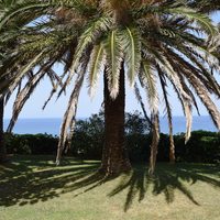 Villa in Greece, Crete, Chania, 420 sq.m.