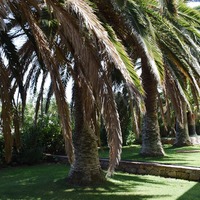 Villa in Greece, Crete, Chania, 420 sq.m.