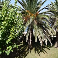 Villa in Greece, Crete, Chania, 420 sq.m.