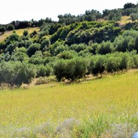 Land plot in Greece, Central Macedonia, Center