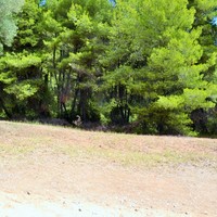 Land plot in Greece, Central Macedonia, Center