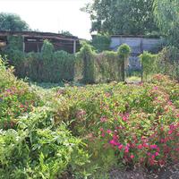 Другое в Греции, Центральная Македония, Центр, 150 кв.м.