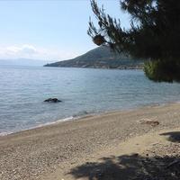 Land plot in Greece, 700 sq.m.