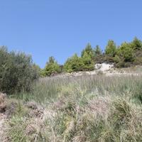 Земельный участок в Греции, Центральная Македония, Центр